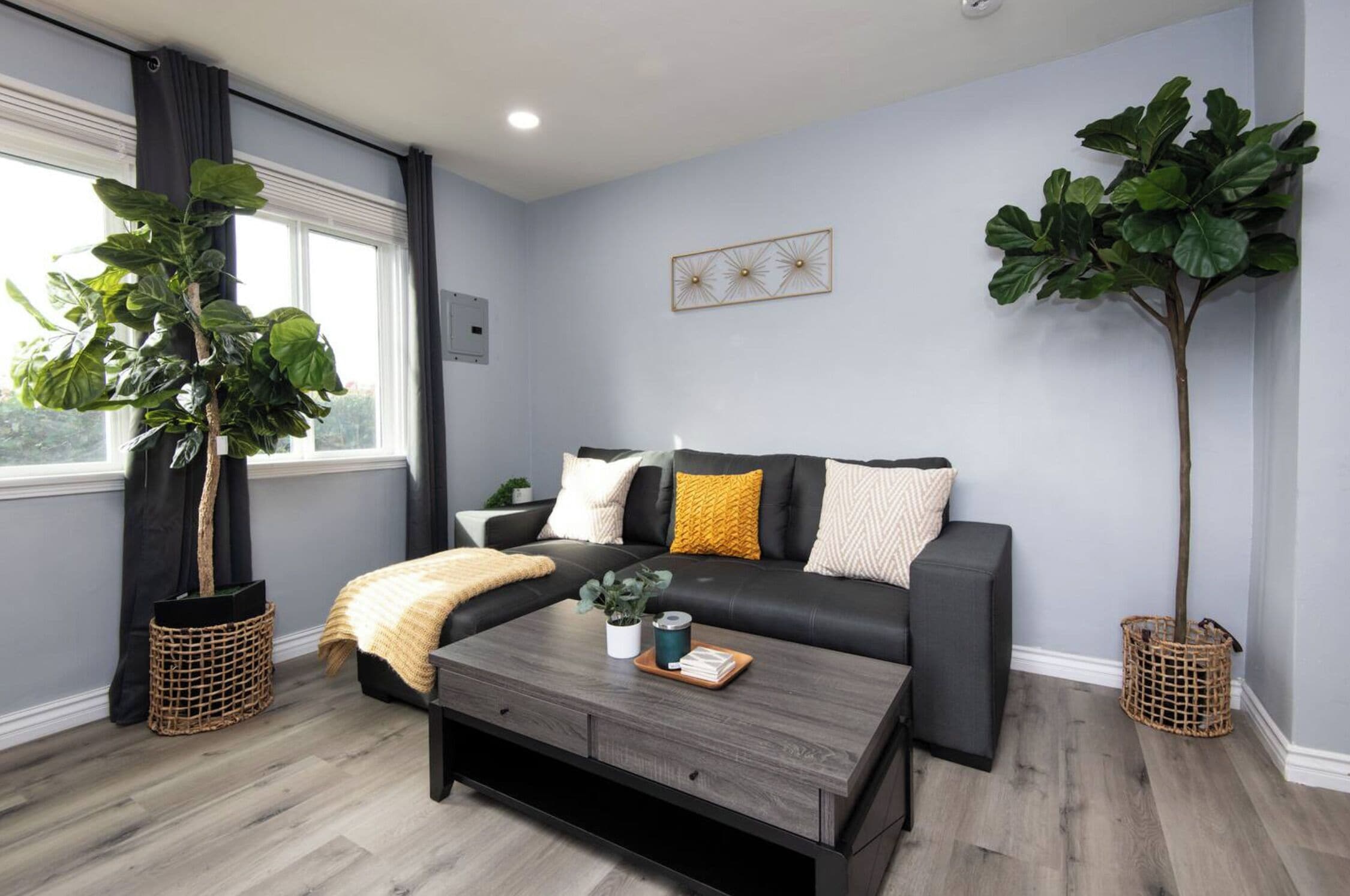 Un salon moderne avec un canapé gris, une table basse et deux grandes plantes en pot.