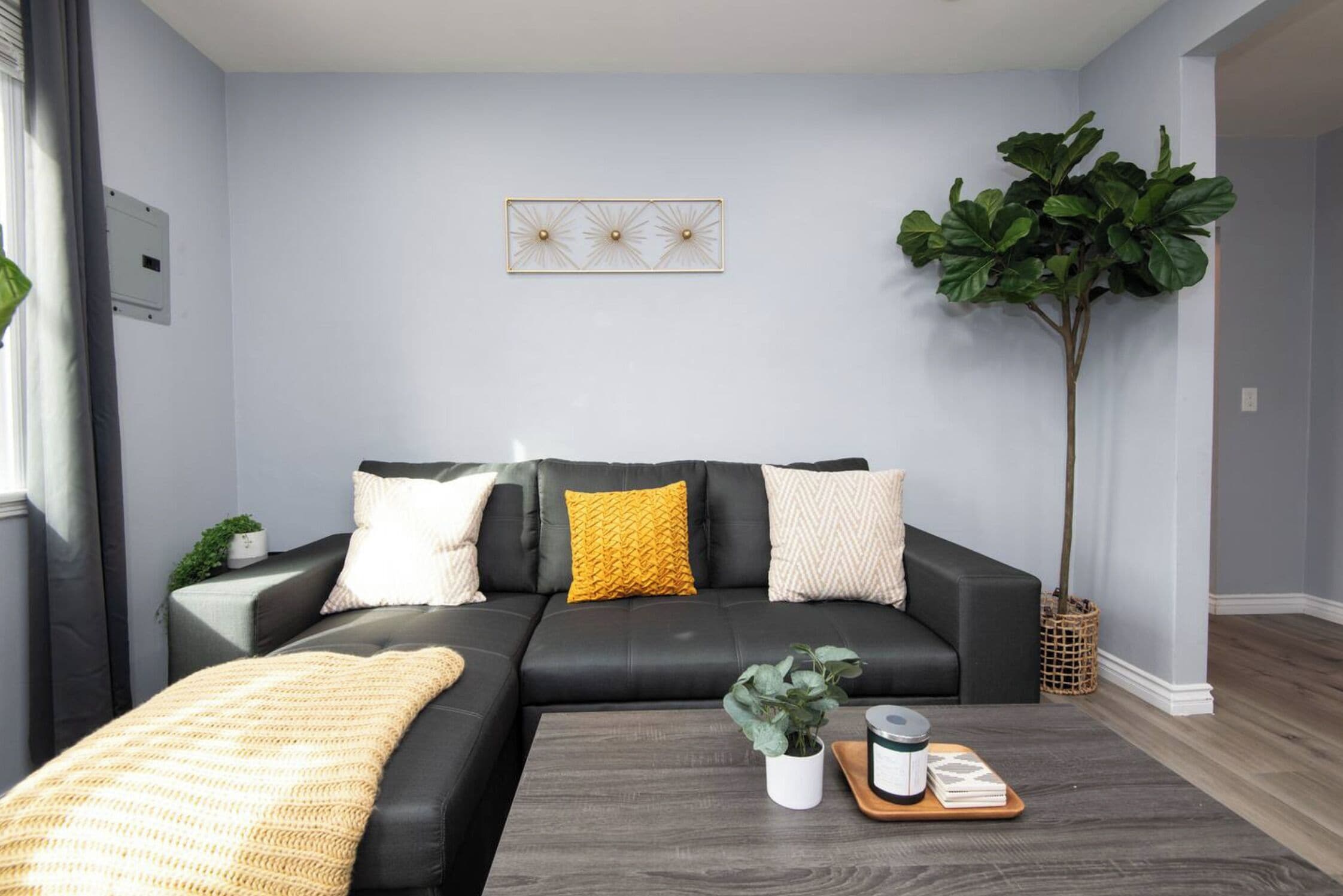 Una sala de estar moderna con un sofá de cuero negro, una manta amarilla y una mesa de centro con una planta y libros.