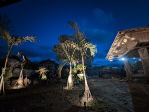 A nighttime outdoor setting with a dirt path, palm trees, and a rustic building with lights. - Sakamine Furusato-an—Limited to one group per day—A uniquely designed house where traditional warmth and exotic charm come together (喜界町)