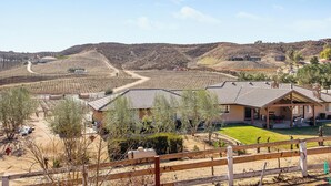 A vineyard with rows of grapevines, a house with a patio, and a fenced area. - Welcome to Mina Ranch! Steps to Leoness Cellars, minutes to Galway Downs! (Temecula)