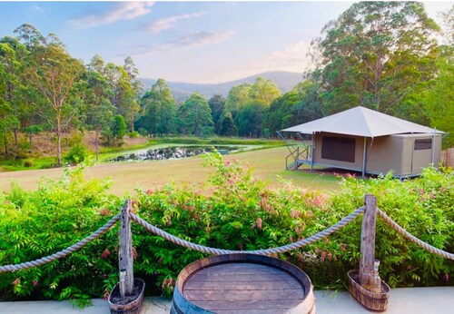 Eco Luxury Glamping Tents for 4 to 8 people