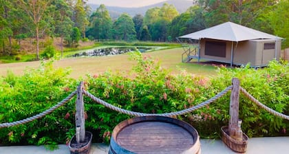 Eco Luxury Glamping Tents for 4 to 8 people