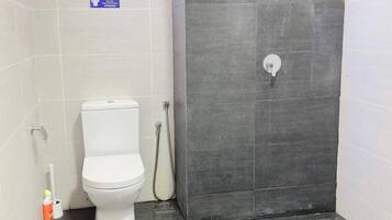 Hair dryer, towels, soap, toilet paper