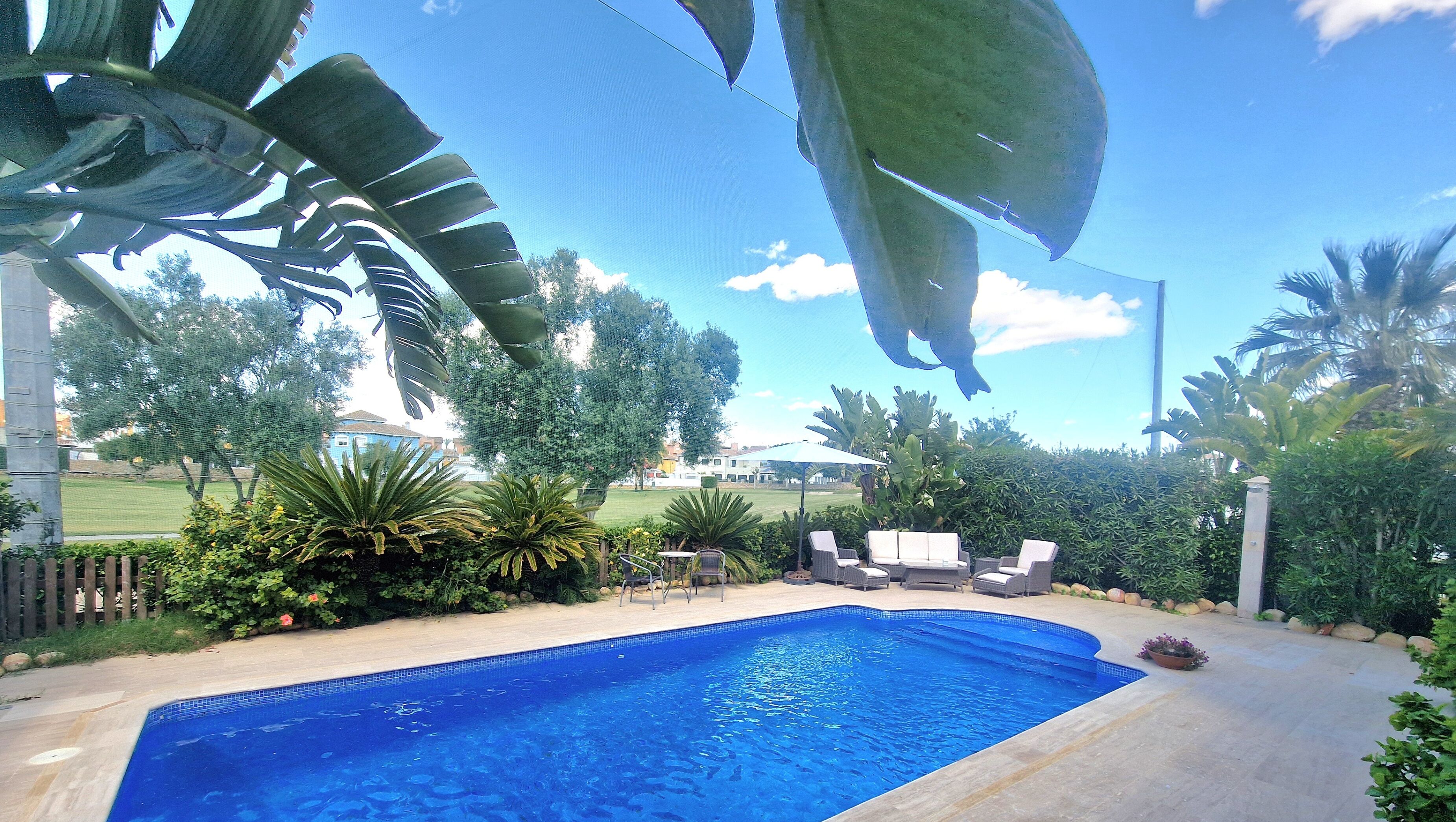A swimming pool with a tiled edge, surrounded by greenery and a lawn.