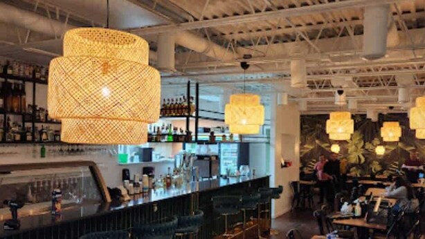 Un espace bar agrémenté de lustres en osier suspendus, d’un comptoir avec une caisse enregistreuse et d’étagères remplies de bouteilles.