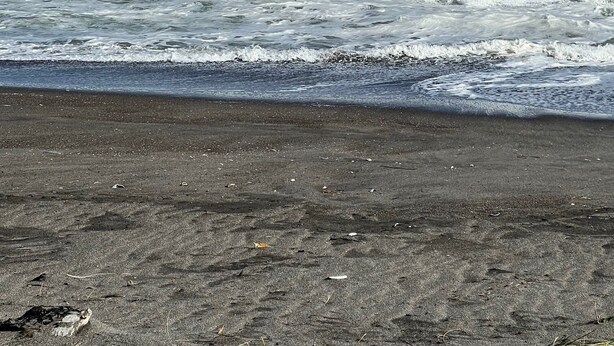 A beach with waves, a clear sky, and clouds. - MOVE 8 (Abashiri)