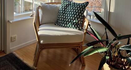 Cozy vacation home with a view of the water and forest. Pet friendly.