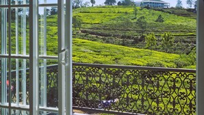 A view of a lush green tea plantation with terraced fields and a building in the background. - Private Villa by the Tea Estate (Nuwara Eliya)