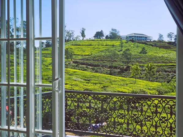 A view of a lush green tea plantation with terraced fields and a building in the background.
