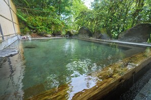 Hot springs - RYOKAN KOKONOE (Kokonoe)