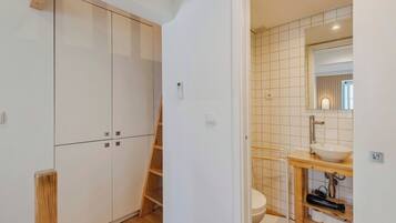 Shower, hair dryer