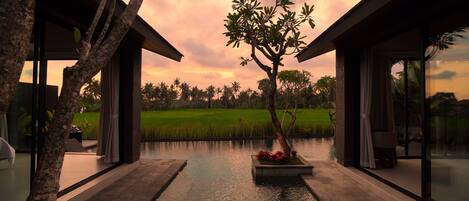 Kolam renang terbuka