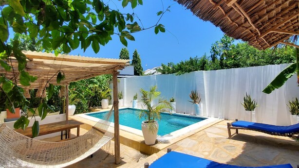 A pool area with a thatched roof, lounge chairs, and potted plants. - Olive House - Private Pool, AC & Wi-Fi (Nungwi)