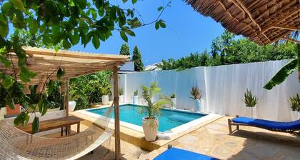 Olive House - Private Pool, AC & Wi-Fi