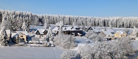 A snow-covered residential area with houses and a clear sky.