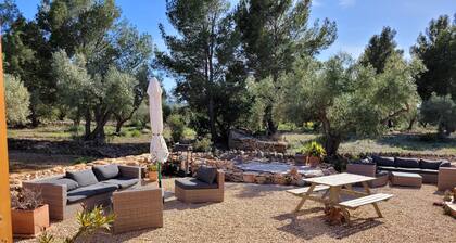 Romantic chalet with private pool surrounded by olive trees.