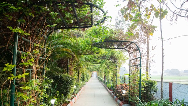 A pathway lined with greenery and a metal structure overhead. - Vanam Resort (Tupran)