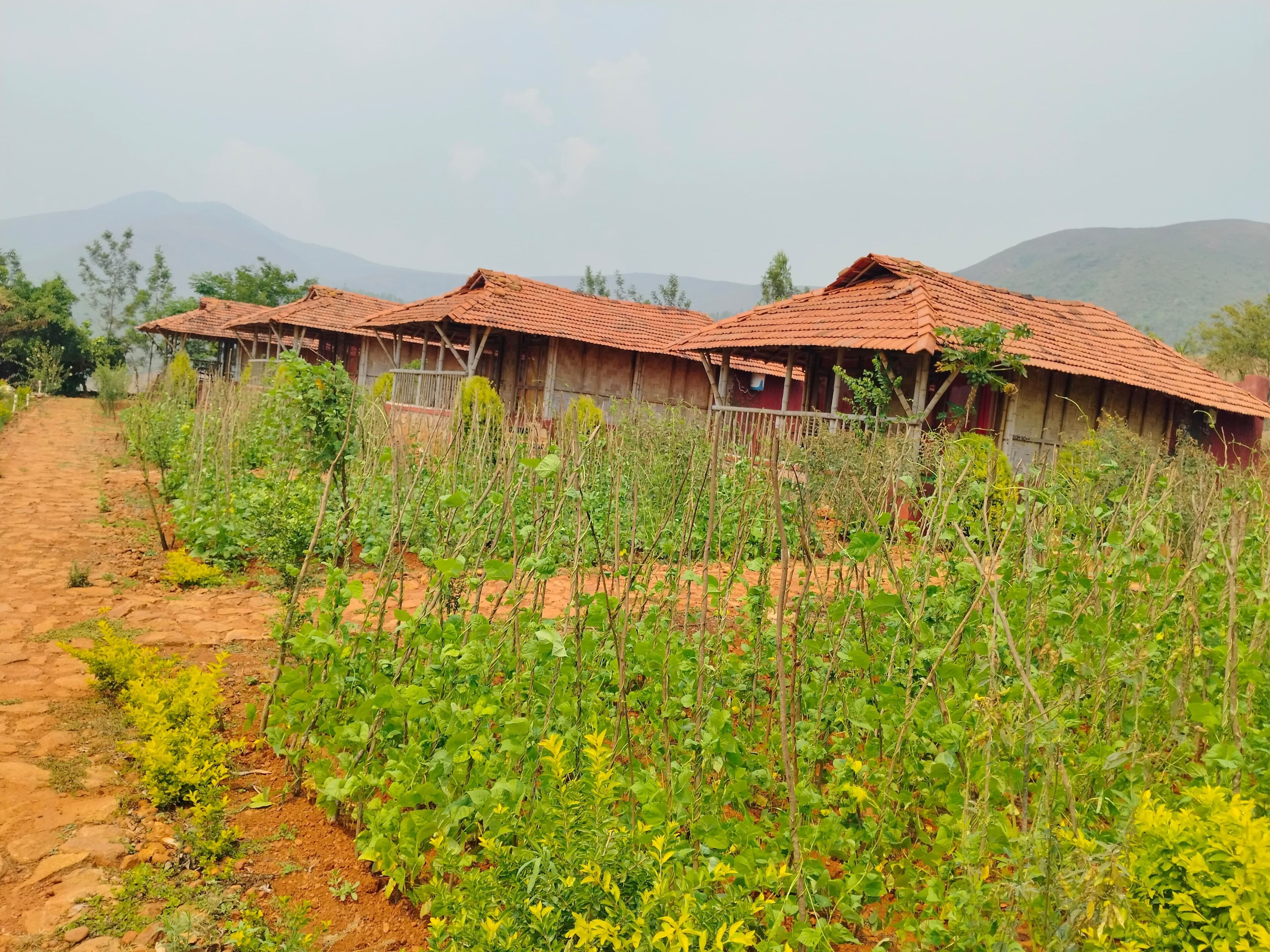 A row of rustic buildings with red-tiled roofs, surrounded by lush greenery and a dirt path.