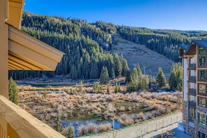 Condo, 2 Bedrooms | Property grounds