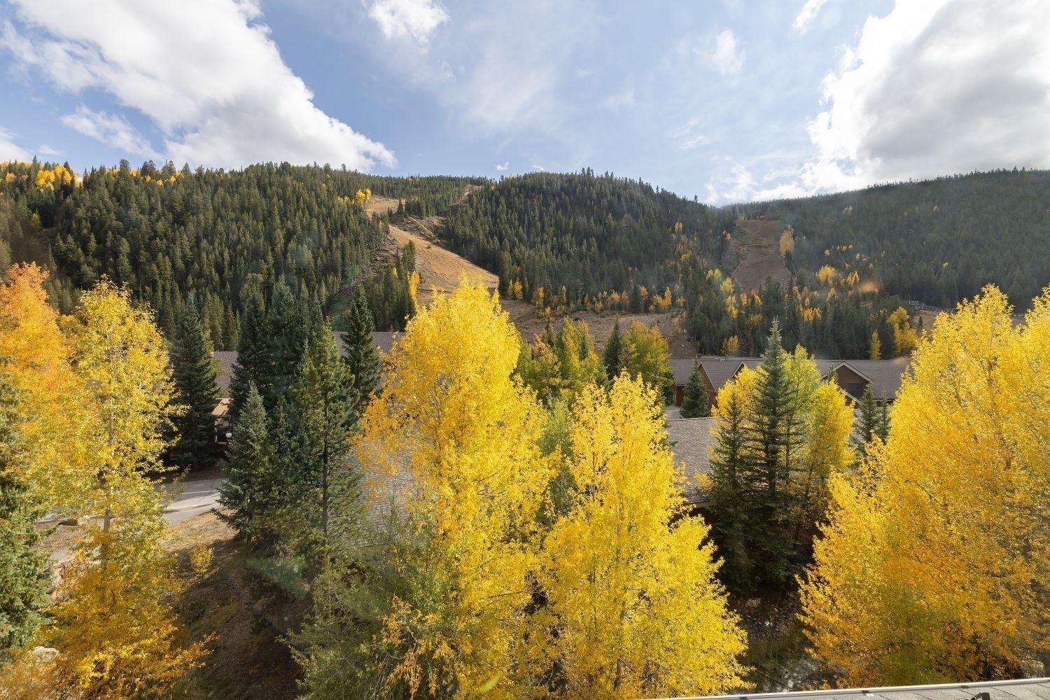 Een bergachtig landschap met herfstkleuren, een weg en enkele gebouwen.