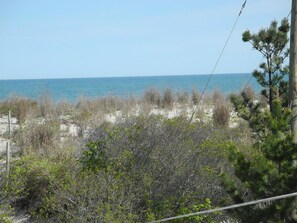 Playa privada en los alrededores 