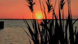 Un coucher de soleil sur l’eau, avec des silhouettes d’herbes au premier plan.