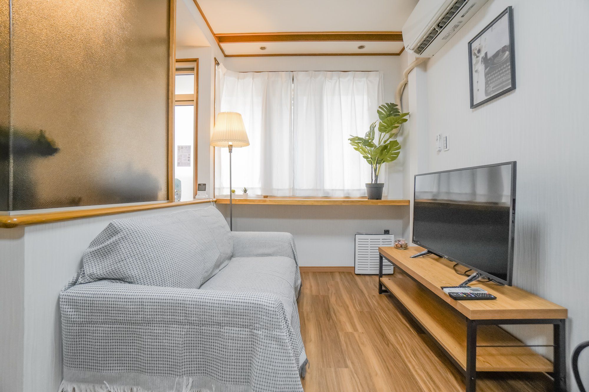 A modern, compact room with a sofa, a TV on a wooden stand, a potted plant, and a window with curtains.
