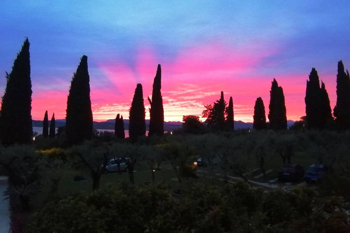 A sunset with tall cypress trees silhouetted against a colorful sky.