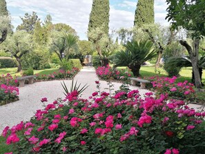 Exterior - Villa Paradiso (Sirmione)