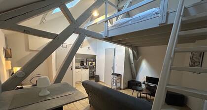 Downtown apartment - Drouaise - mezzanine - sleeps 4