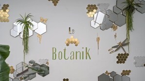 A wall with hexagonal mirrors, a hanging plant, and the text "Le Botanik". - Le Botanik: Chic Garden (Fort-de-France)