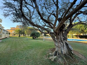 Property grounds - CLEMENVILLA III (Denia)