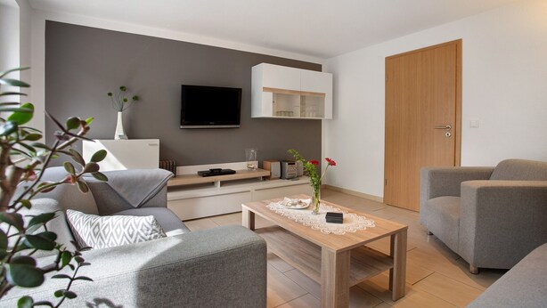 A modern living room with a sofa, a coffee table, a TV, and a cabinet.
