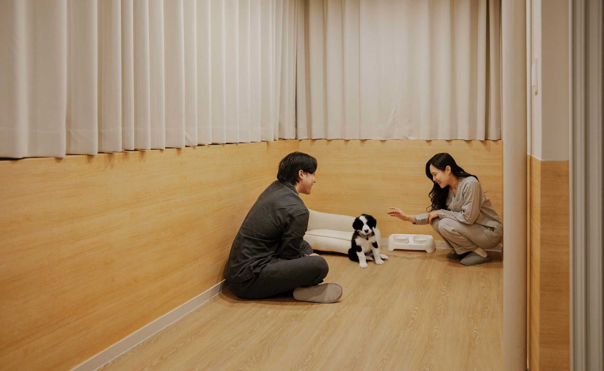 A room with wooden flooring, a white curtain, and a small dog.