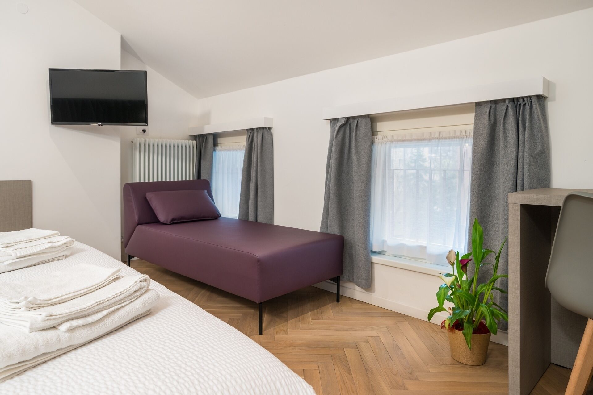 A modern hotel room with a bed, a TV, a window with curtains, a potted plant, and a desk.