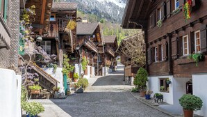 A cobblestone street lined with traditional wooden buildings, some with balconies and hanging plants. - StayBrienz - Lake Brienz Holiday Apartment (Brienz)