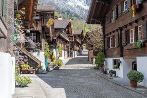 Ulkopuoli