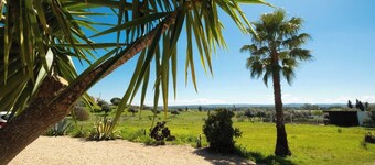 Pool, Patio, BBQ, 160Mbps, Mtn View, Scenery