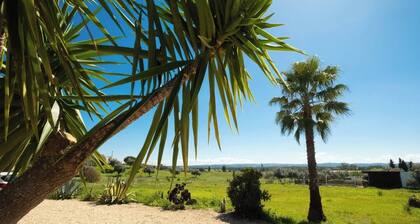 Pool, Patio, BBQ, 160Mbps, Mtn View, Scenery