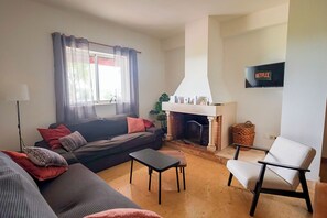 Televisor, llar de foc i taula de tennis de taula 