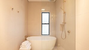 Shower, hair dryer, towels