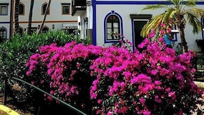 Căn hộ, 2 phòng ngủ, hiên, quang cảnh núi | Ngoại thất