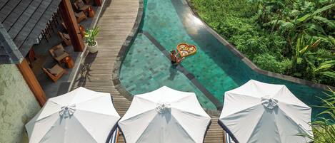 Outdoor pool, sun loungers