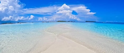 Pantai di sekitar, pasir putih, payung pantai, dan handuk pantai