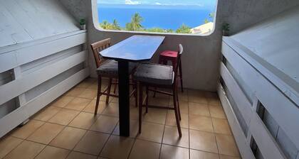 Ă 15 minutes des plages, St Leu ou Ătang SalĂ©. Appartement vue mer avec piscine.