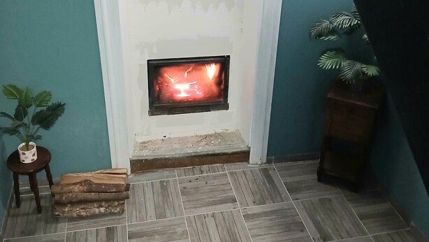 A room with a fireplace, wooden flooring, a small table with a potted plant, and a dark-colored piece of furniture. - Quiet, independent double room facing the forest (Saint-Nectaire)