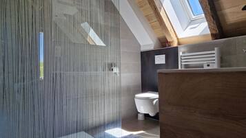 Shower, towels, toilet paper