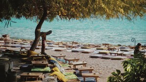 Une plage avec des chaises longues et des tables en bois disposées sur le sable, un arbre offrant de l’ombre et une étendue d’eau calme en arrière-plan.
