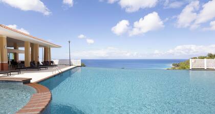 NEW! Dreamy Ocean View Penthouse Crash Boat Beach