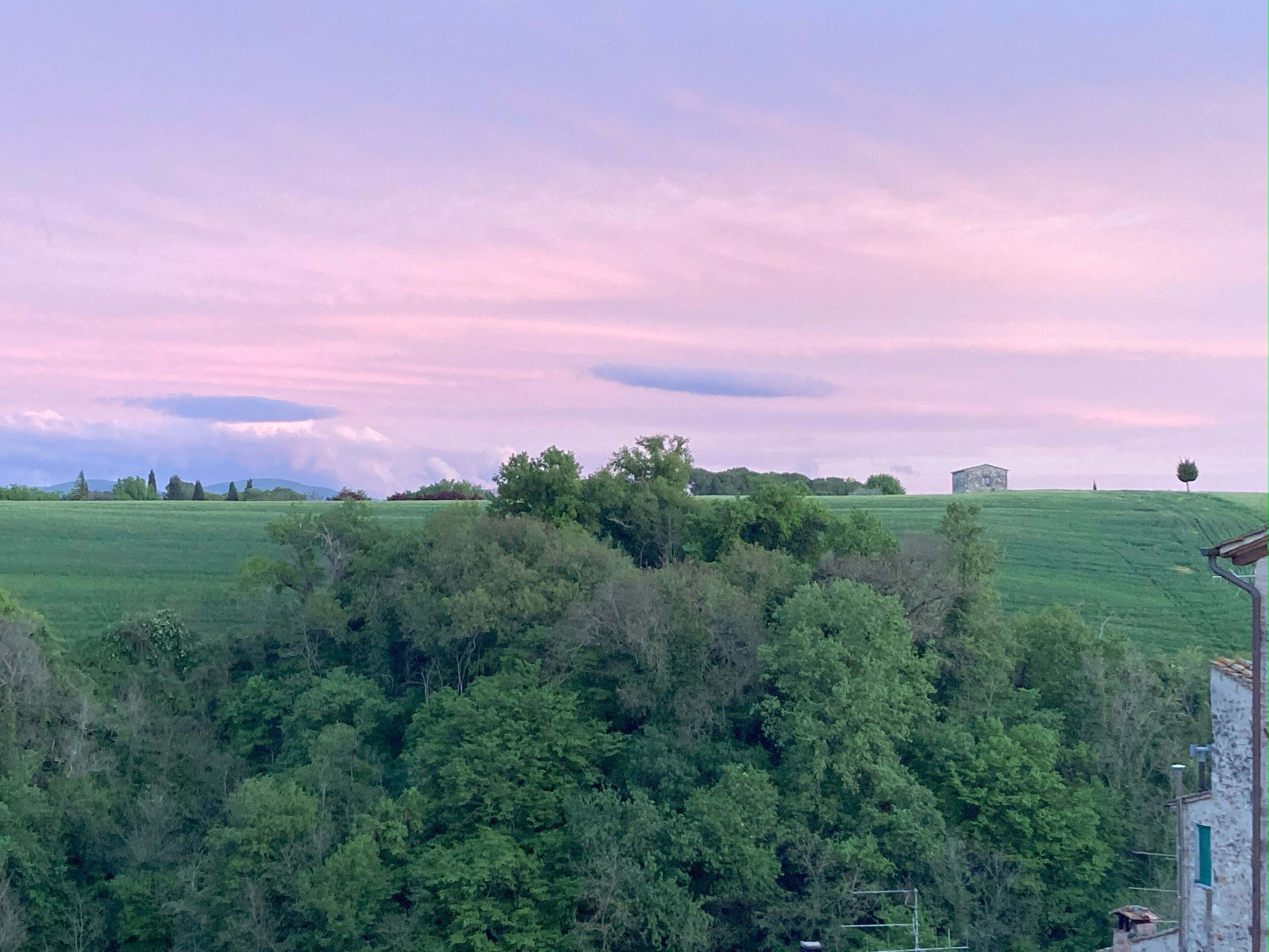 Un paysage rural avec un champ, des arbres et un petit bâtiment.